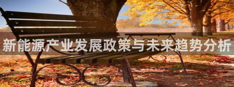 新宝GG冰冰