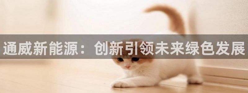 新宝gg体彩