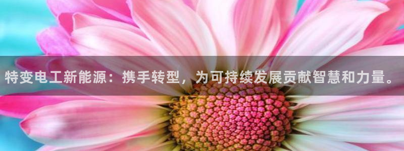 新宝gg开奖