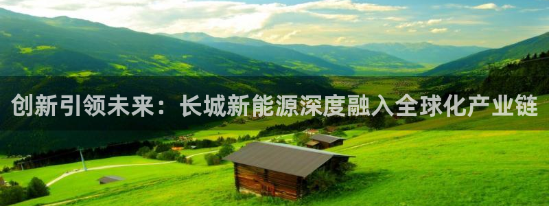 新宝GG玩家