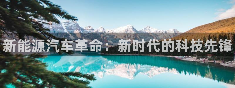 新宝gg手机