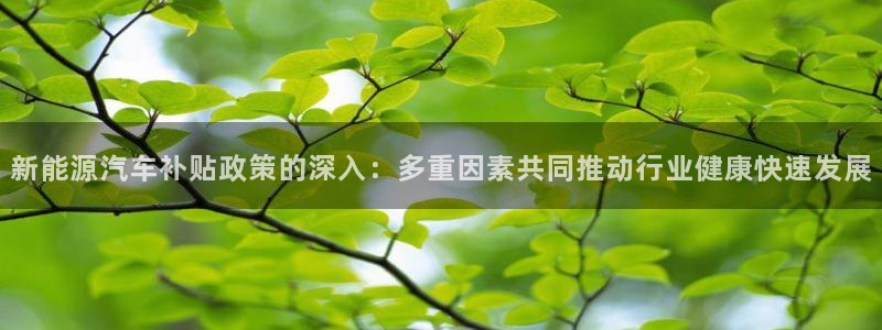 新宝gg至55312：新能源汽车补贴政策