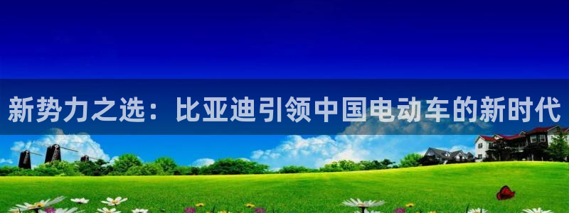 新宝GG股东