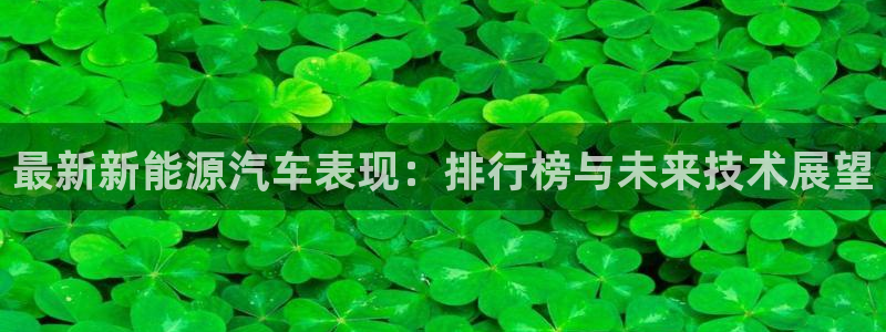 怎么代理新宝gg