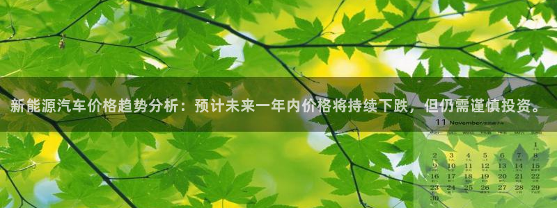 新宝 gg 登录：新能源汽车价格趋势分析