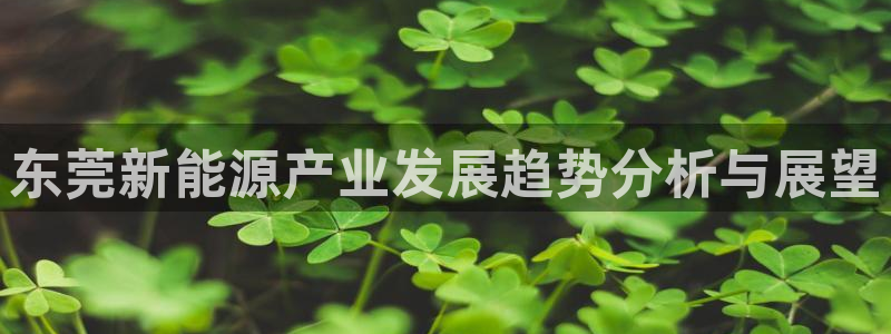新宝gg官方