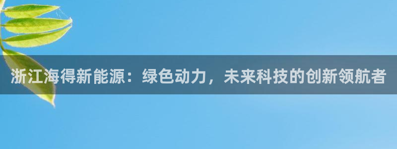 新宝GG都有哪些计划：浙江海得新能源：绿