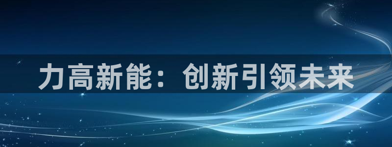 新宝GG链接：力高新能：创新引领未来