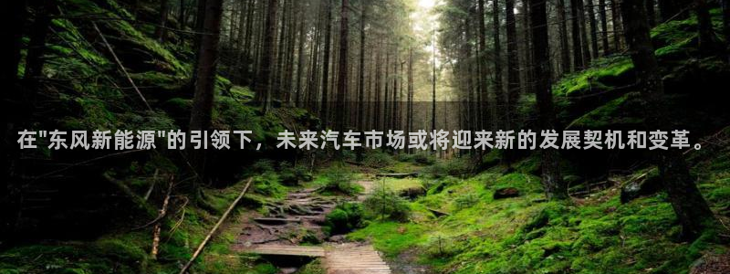 新宝gg创造奇迹登陆：在\