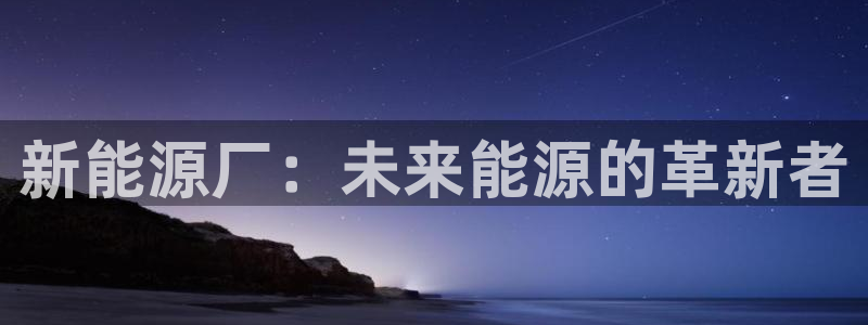 新宝gg打发
