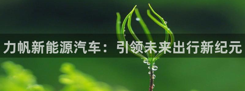 登录新宝GG：力帆新能源汽车：引领未来出