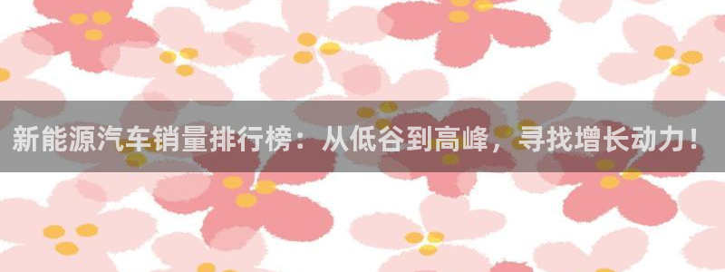新宝GG栏770823：新能源汽车销量排