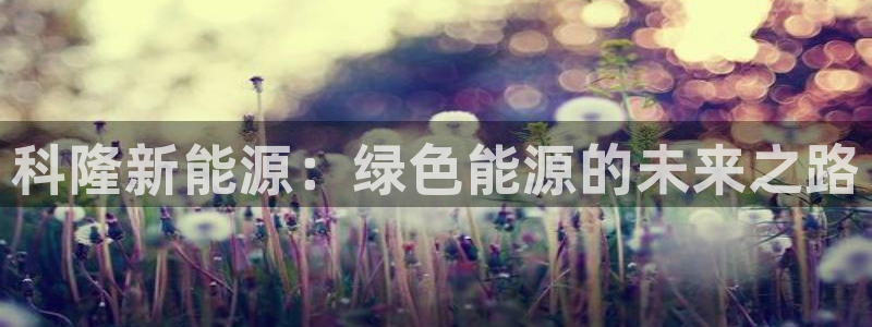 新宝gg注册q -26880：科隆新能源
