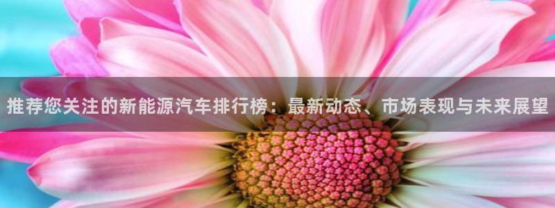 新宝3GG：推荐您关注的新能源汽车排行榜