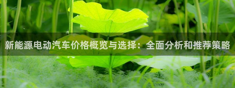 新宝GG栏770823:新能源电动汽车价格概览与选择:全面分