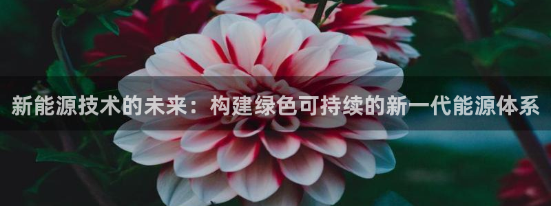 新宝gg账号:新能源技术的未来:构建绿色可持续的新一代能源体