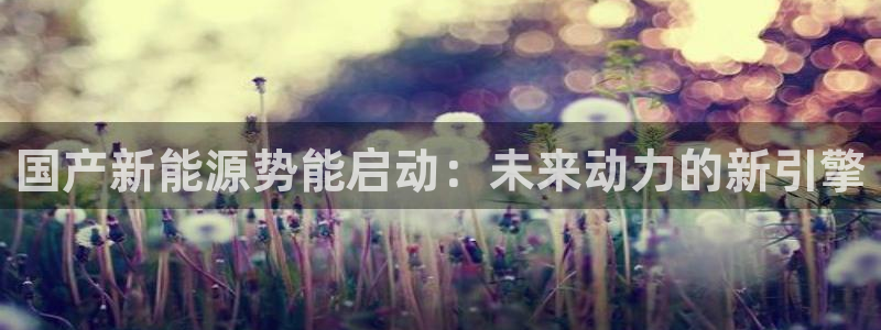 新宝gg -创造:国产新能源势能启动:未来动力的新引擎