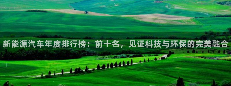 新宝3和新宝gg:新能源汽车年度排行榜:前十名,见证科技与环