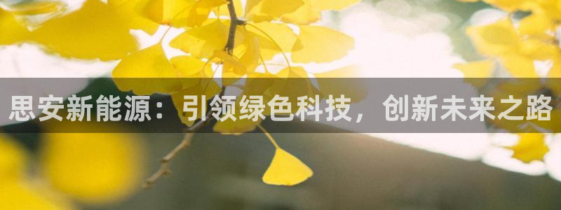 新宝 gg 登:思安新能源:引领绿色科技,创新未来之路