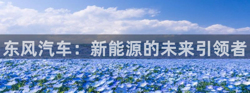 新宝gg系列:东风汽车:新能源的未来引领者