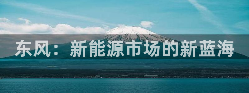 新宝gg最新章节:东风:新能源市场的新蓝海