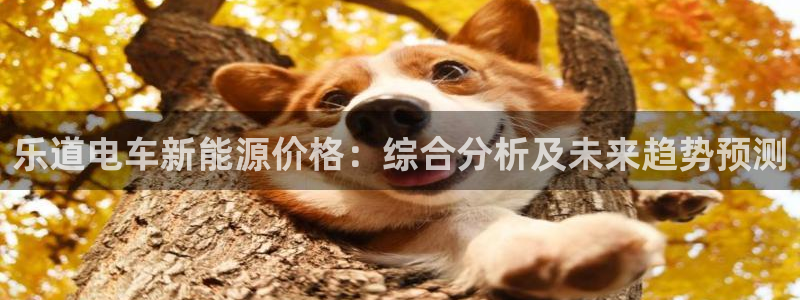 新宝gg创造奇迹下载