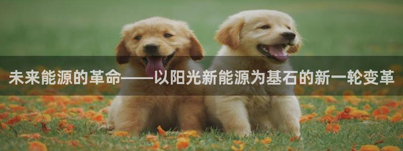 新宝GG主管41333