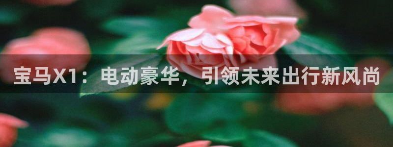 新宝gg平台下载安装