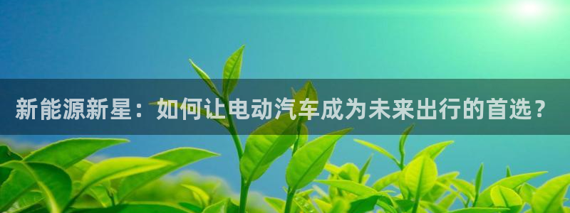 新宝gg计划