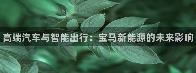 新宝_gg：高端汽车与智能出行：宝马新能