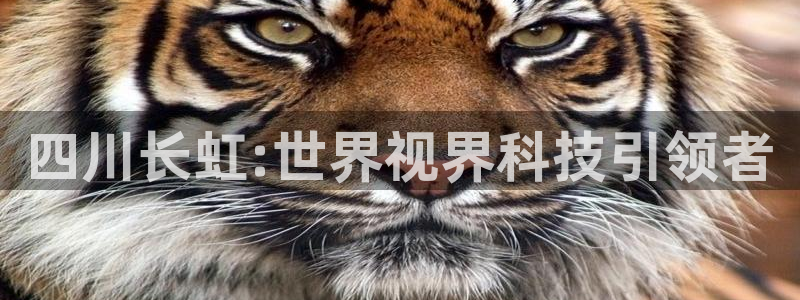 新宝gg登录地址：四川长虹:世界视界科技