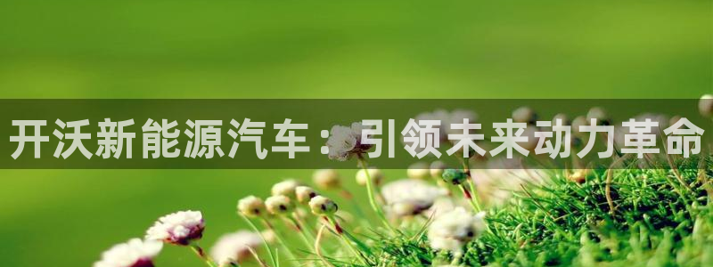 新宝gg软件