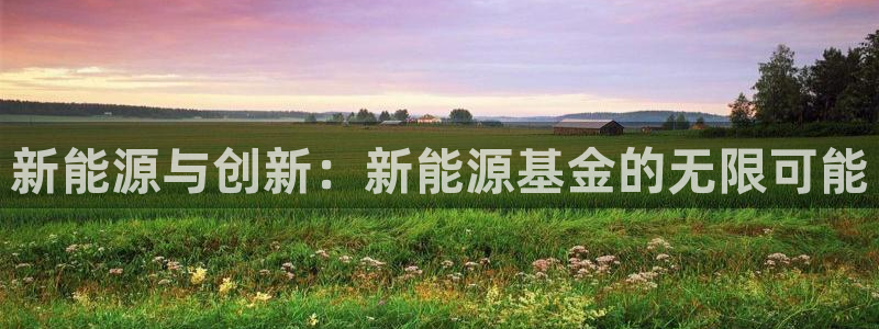 新宝gg漏洞