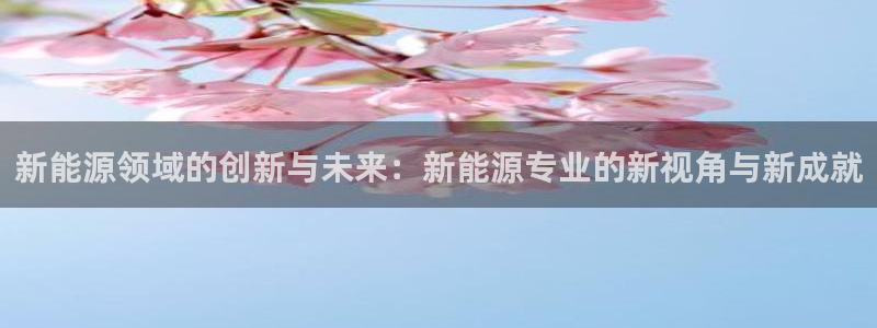 新宝gg账号