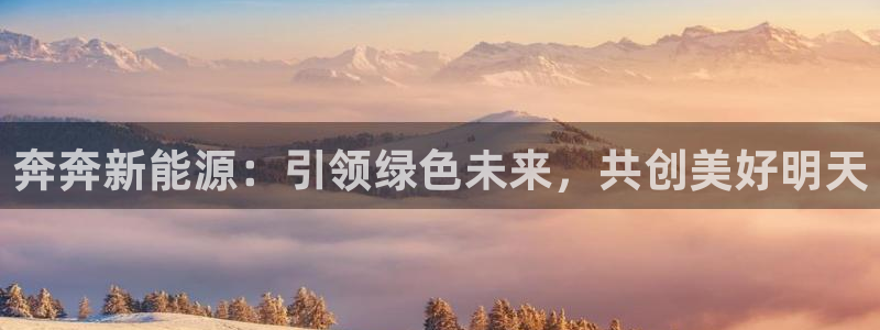 新宝gg招商-299136:奔奔新能源:引领绿色未来,共创美