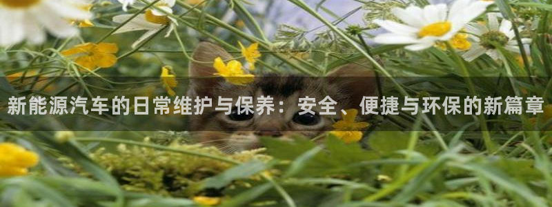 新宝gg地址新宝二：新能源汽车的日常维护