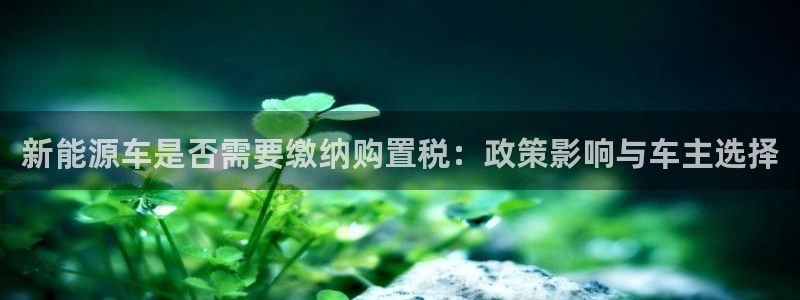 新宝gg招商致胜团队