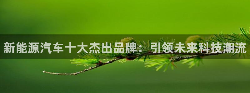 新宝gg套路：新能源汽车十大杰出品牌：引