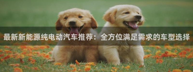 新宝gg平台q891465：最新新能源纯