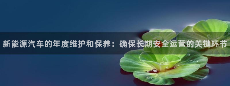 新宝gg 彩票：新能源汽车的年度维护和保