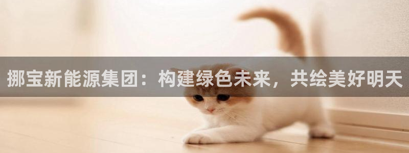 新宝gg类似