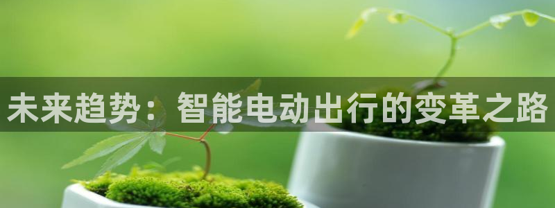 新宝gg介绍