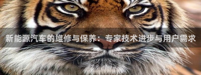 新宝gg官方主管