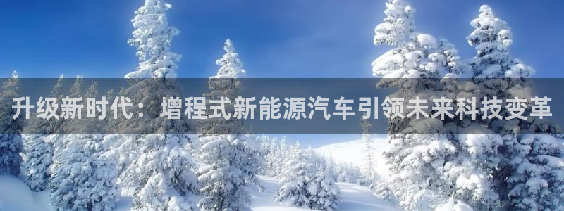 新宝gg评论