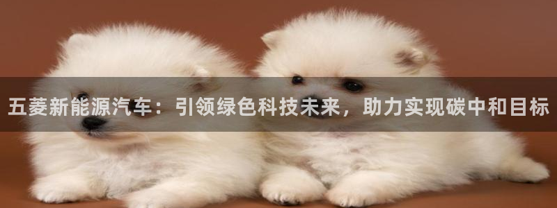 新宝GG管理