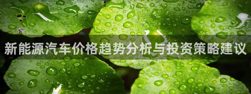 新宝GG管理