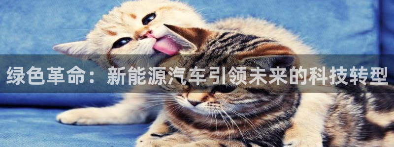 新宝GG股东