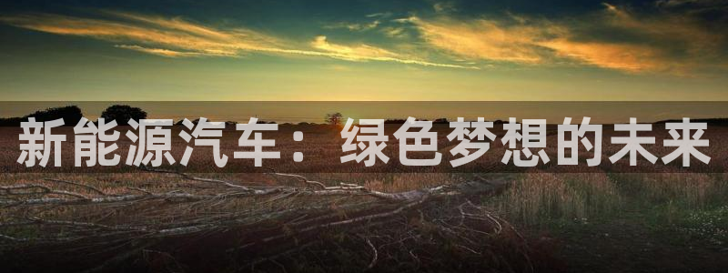 11新宝gg:新能源汽车:绿色梦想的未来
