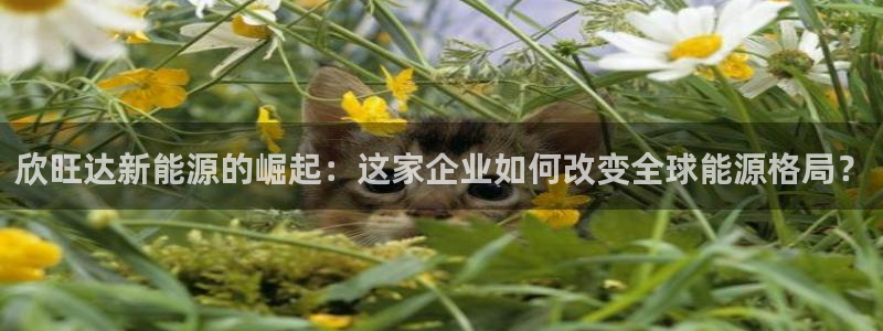 新宝gg平