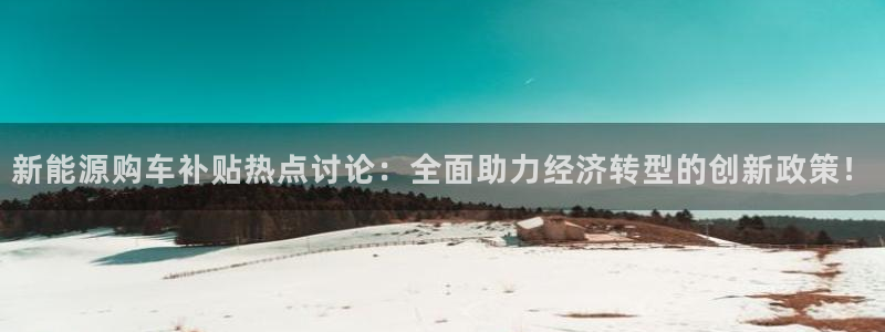 新宝gg创建奇迹：新能源购车补贴热点讨论